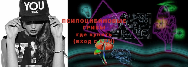 ешки Мегион