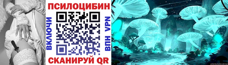 Псилоцибиновые грибы Psilocybine cubensis  Жуковский 